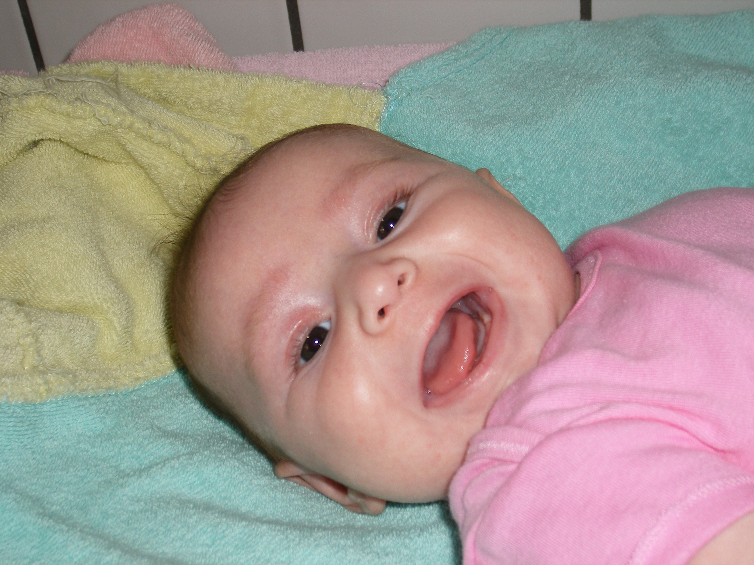 2006_0225ALANNA2-26-060001